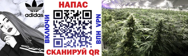 где найти наркотики  Таганрог  hydra ONION  Бошки Шишки семена 
